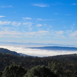 Mount Sizer via "The Shortcut"