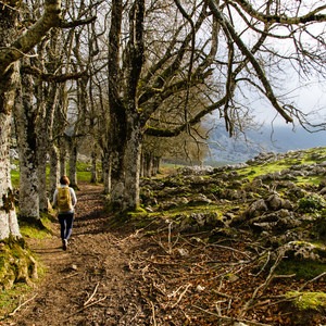 Aitzgorri and Aketegi