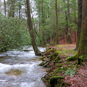 Desoto Falls Campground