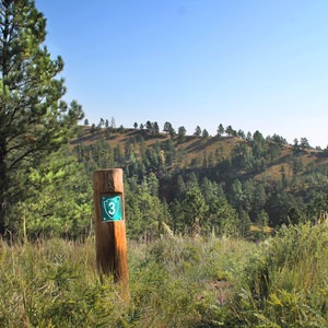 East Bison Flats Trail