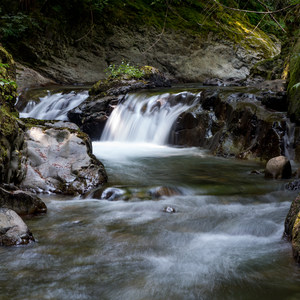 Butler Creek Dispersed Campsites