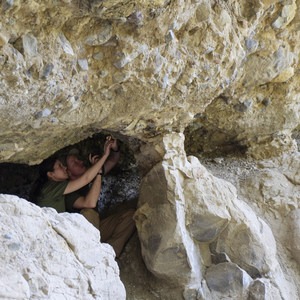 Gallatin Petrified Forest