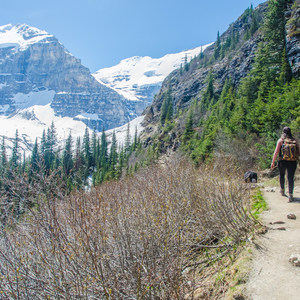 Plain of Six Glaciers