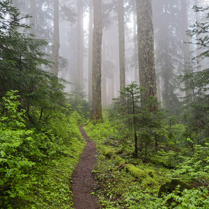 Observation Peak Trail