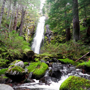 Hidden Falls via Tarbell Trail