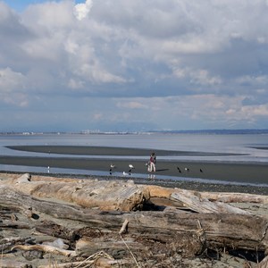 Boundary Bay Regional Park