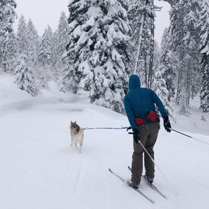Bear Basin Nordic Center