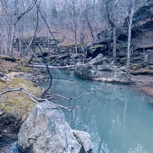 Bear Branch Creek Trail