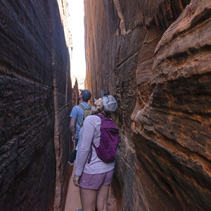 The Petroglyph Trail