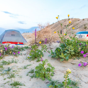 Arroyo Salado Primitive Campground