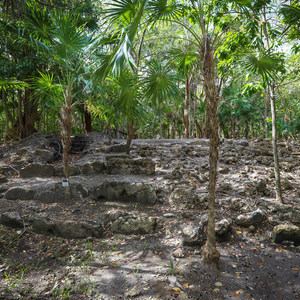 Marco Gonzalez Maya Reserve