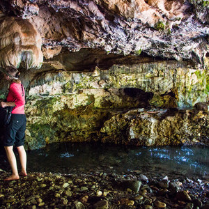 Natural Bridges Caverns Trail