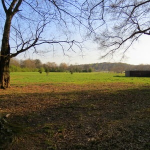 Chattahoochee Pointe Trail