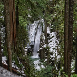 Cypress Falls Trail
