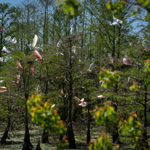 Grosse Savanne Eco-Tours