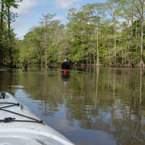 Lake Area Adventures Guided Calcasieu River Paddle