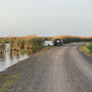 Rockefeller Wildlife Refuge + Price Lake Nature Drive