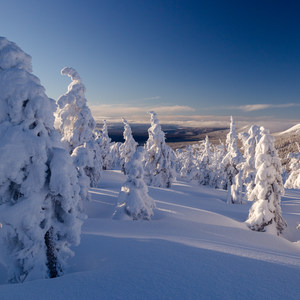 Tumalo Mountain Snowshoe