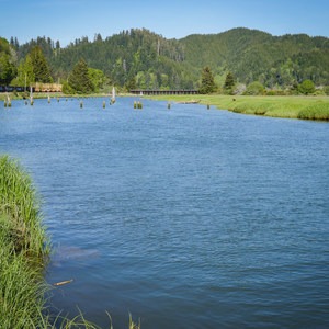 Smith River Estuary