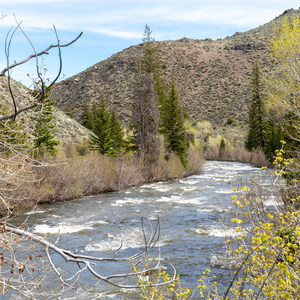 Encampment River Trail