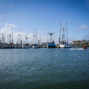 Joe Ney Slough + South Slough