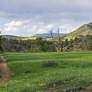 Horse Gulch Trailhead