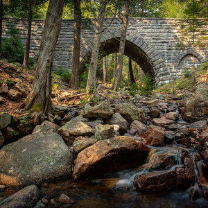 Hadlock + Waterfall + Hemlock Bridges Hike
