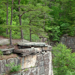 Diamond Point + Fern Creek Falls Loop