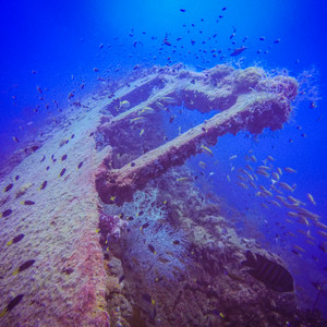 Diving the SS Yongala Shipwreck