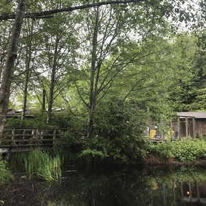 Surf Junction Campground