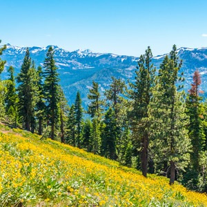 Johnson Canyon Overlook via Glacier Way Trailhead