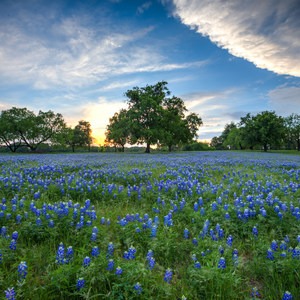 Turkey Bend Recreation Area Campground