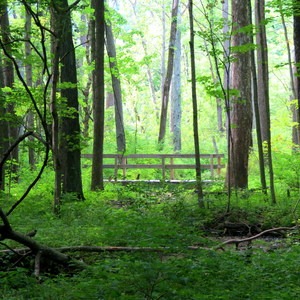Ritchey Woods Nature Preserve