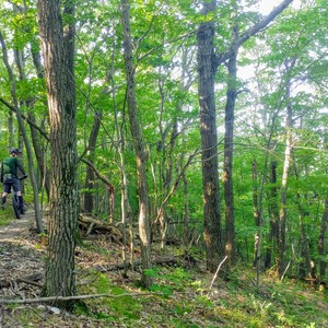 Ontario County Park at Gannett Hill