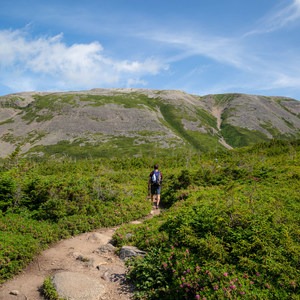 Gros Morne and Bakeapple Pond Hike