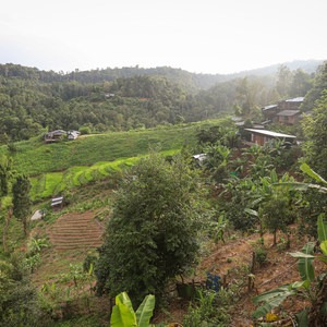 Spicy Villa Eco-Lodge