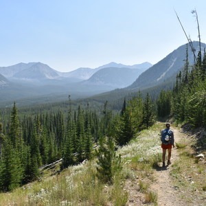 Fourmile Basin Trail