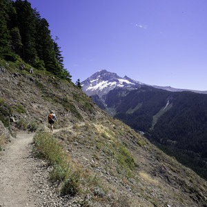 Bald Mountain From Lolo Pass Trailhead