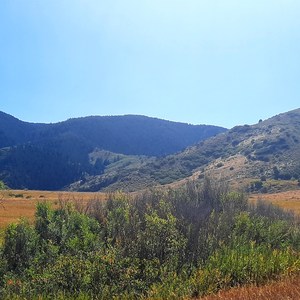 South Valley Park South Trailhead