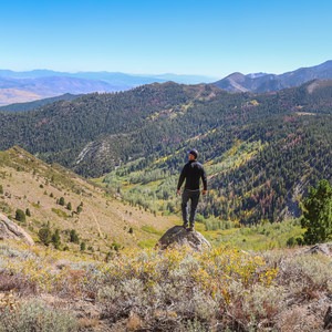 Rim To Reno Trail