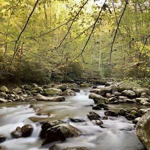 Big Creek Campground