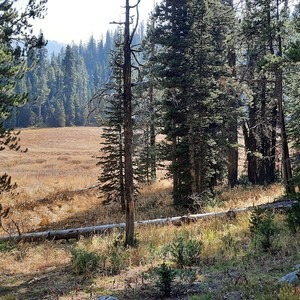 Golden Trout Lakes Trail