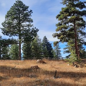 Genesee Mountain Trail Loop