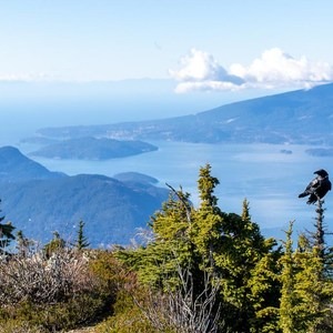 Hollyburn-Strachan Loop