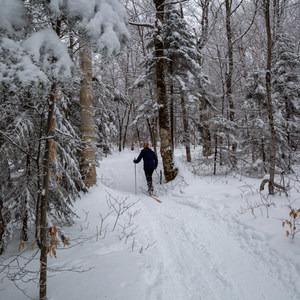Sterling Forest Upper Gorge Loop