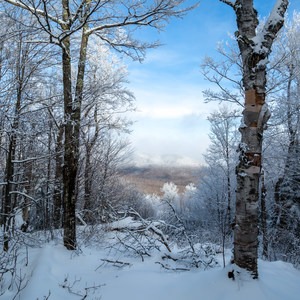 Sterling Forest Trail Network