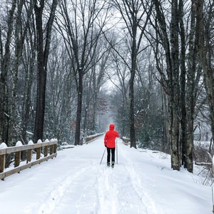 Bruce Freeman Rail Trail Nordic Ski