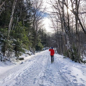 Elmore State Park Cross-Country Ski