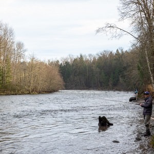 Sandy River Park Trail