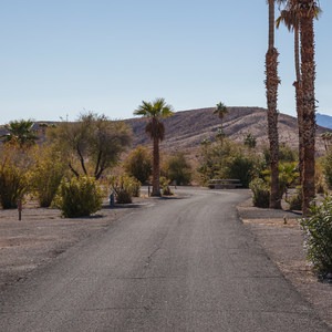 Callville Bay Campground